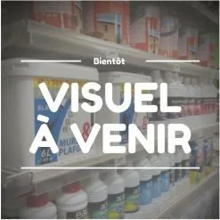 ELM LEBLANC Ballon 120l Mural / Sol Bal121